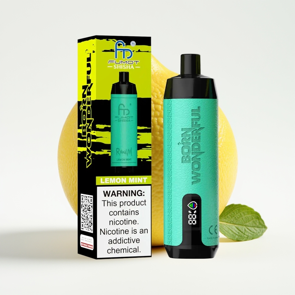 RandM Fumot Shisha 10000 Puffova 18ml Limeta Meta Disposable Vape