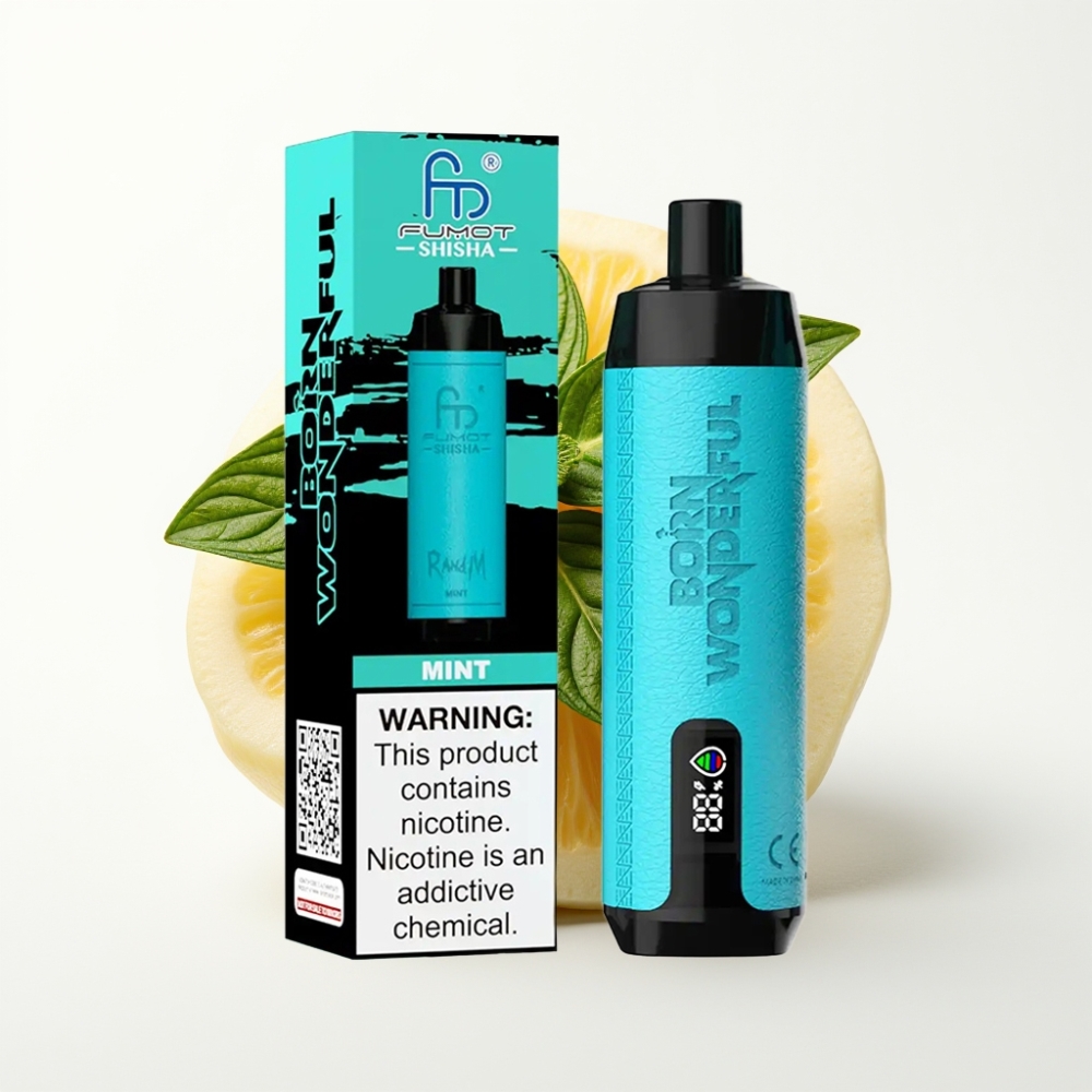 RandM Fumot Shisha 10000 Puffs 18ml Prefilled e-tekućina Mint